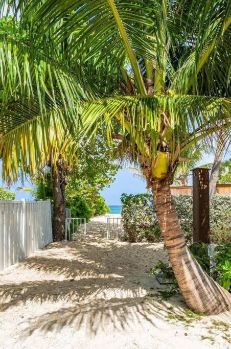 Beach Living At Island Pine Villas Джорджтаун Екстер'єр фото
